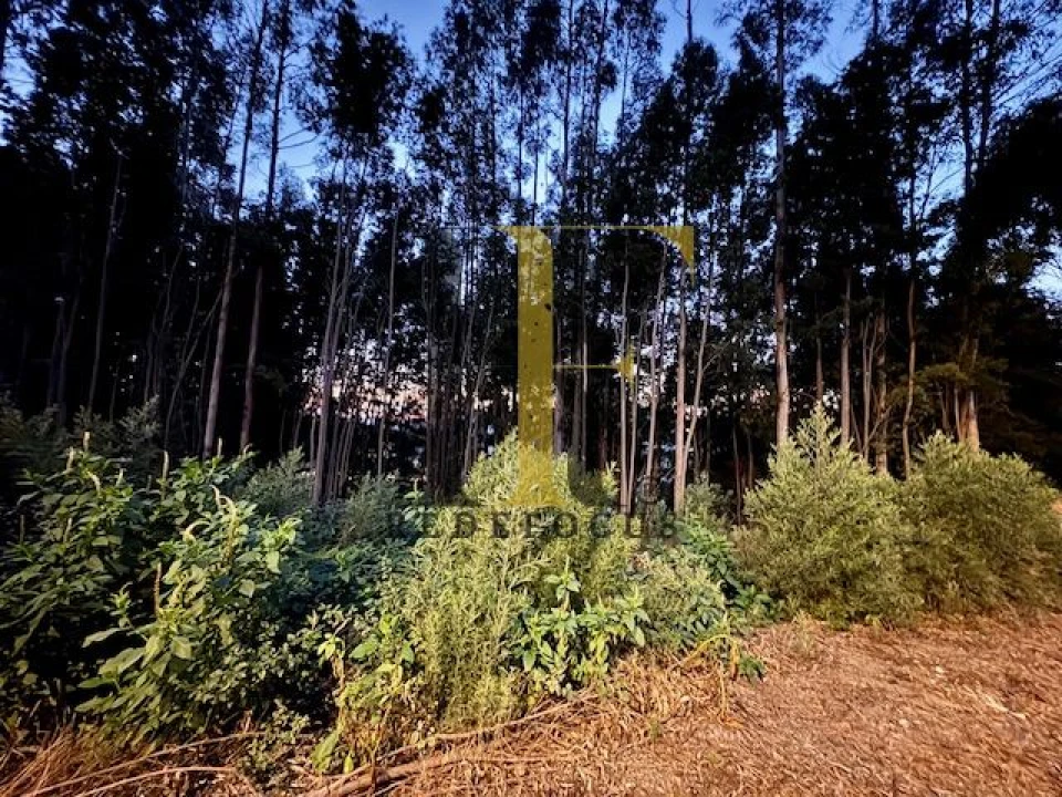 Terreno para Venda em Serzedo e Perosinho Foto 12