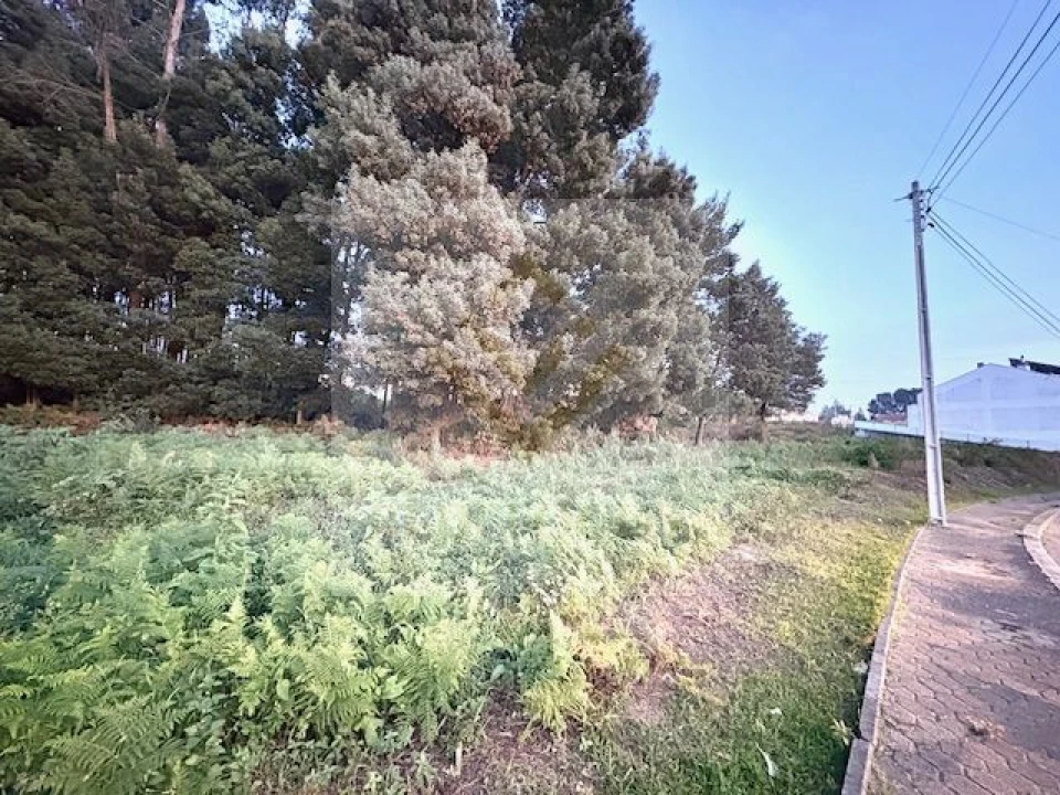 Terreno para Venda em Serzedo e Perosinho Foto 6