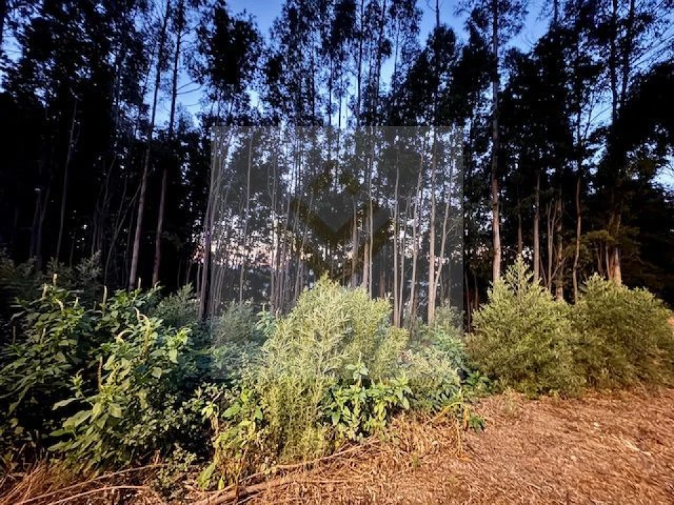 Terreno para Venda em Serzedo e Perosinho Foto 12