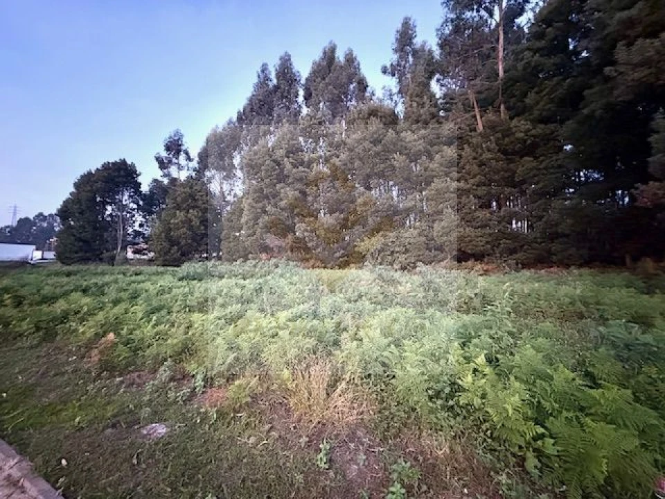Terreno para Venda em Serzedo e Perosinho Foto 5