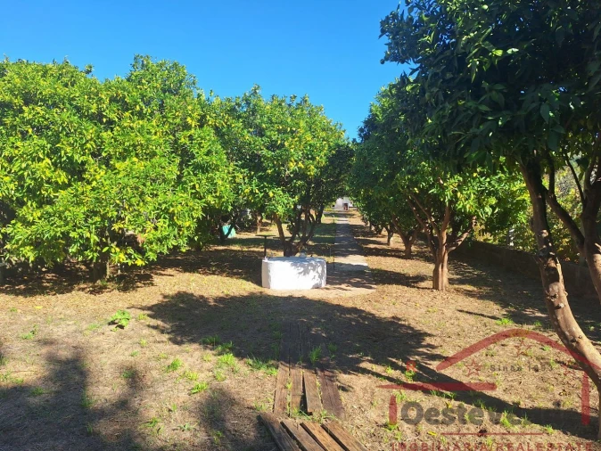 Moradia T3 para Venda em Vilar Foto 7