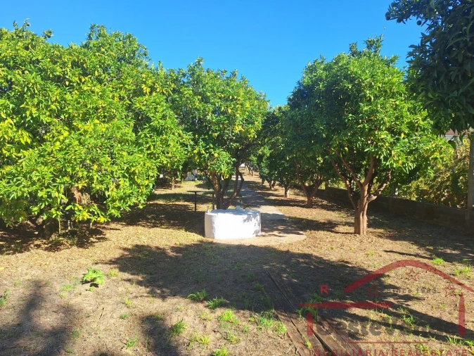 Moradia T3 para Venda em Vilar Foto 8