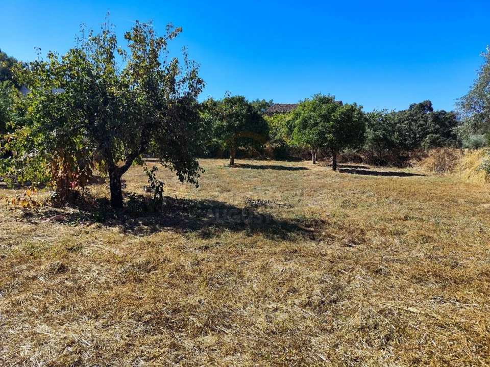 Terreno para Venda em Castelo Branco Foto 34