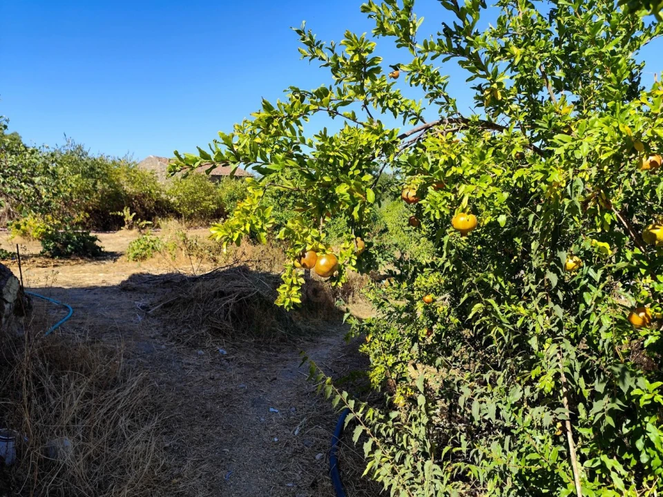 Terreno para Venda em Castelo Branco Foto 15
