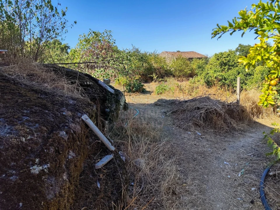 Terreno para Venda em Castelo Branco Foto 14