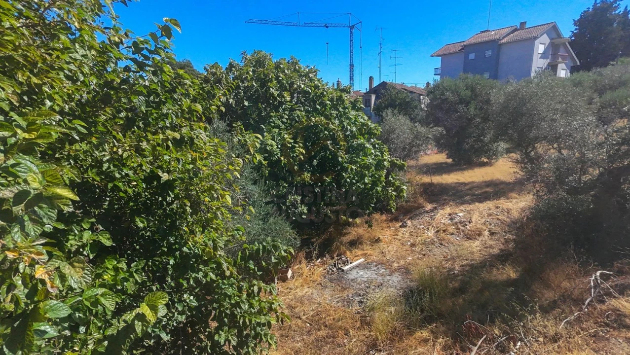 Terreno para Venda em Castelo Branco Foto 10