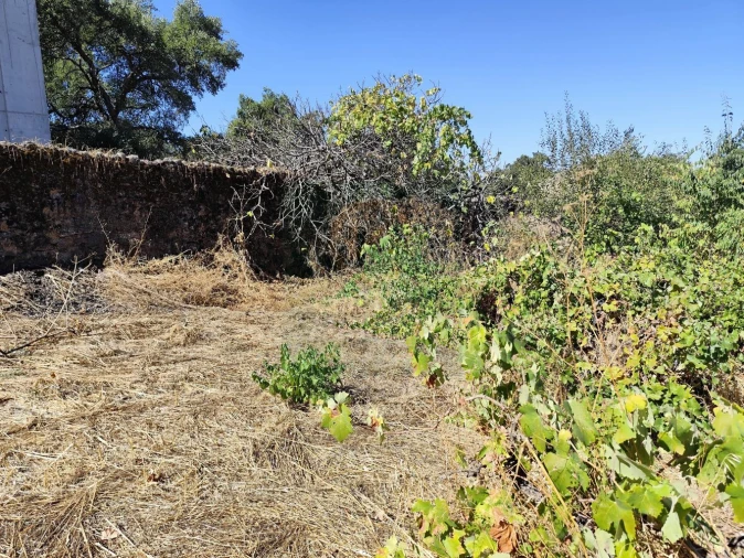 Terreno para Venda em Castelo Branco Foto 28