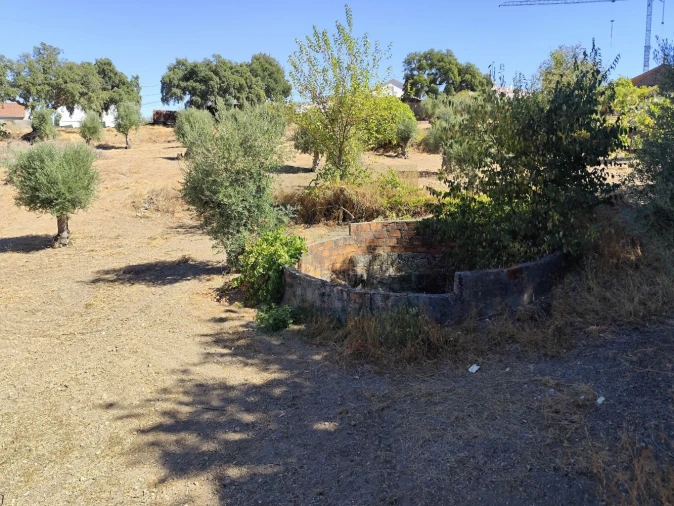 Terreno para Venda em Castelo Branco Foto 30