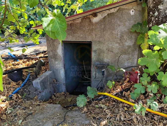 Terreno para Venda em Castelo Branco Foto 55
