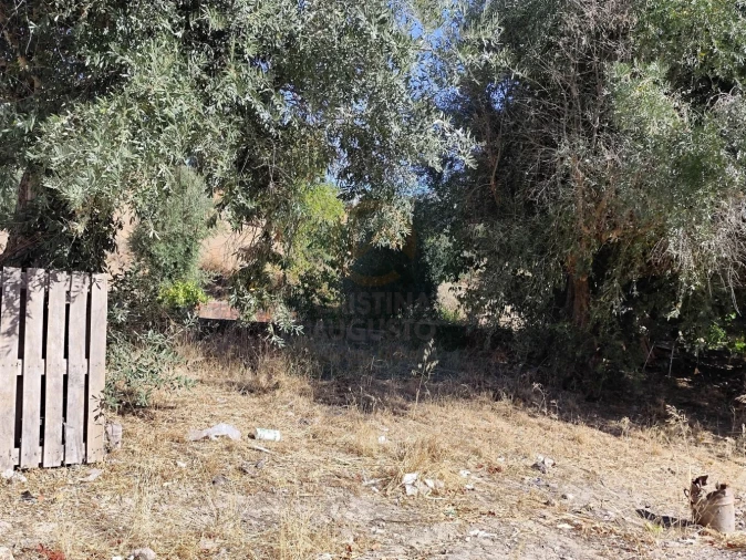 Terreno para Venda em Castelo Branco Foto 36