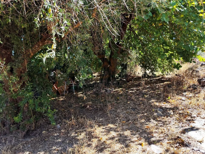 Terreno para Venda em Castelo Branco Foto 32