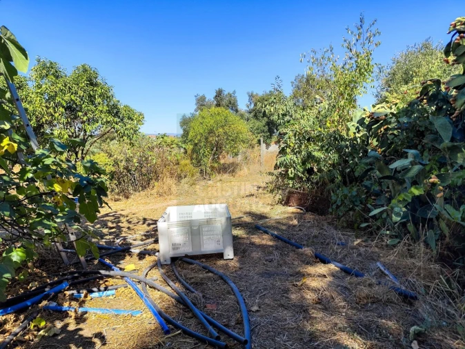 Terreno para Venda em Castelo Branco Foto 12