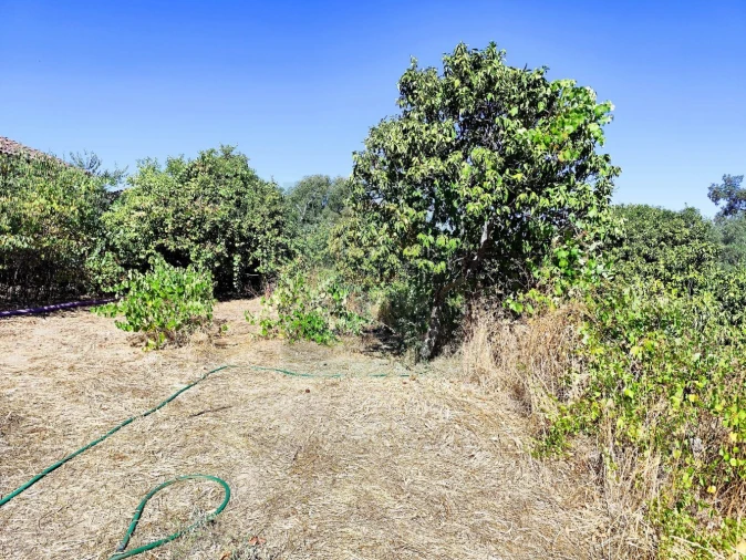 Terreno para Venda em Castelo Branco Foto 33