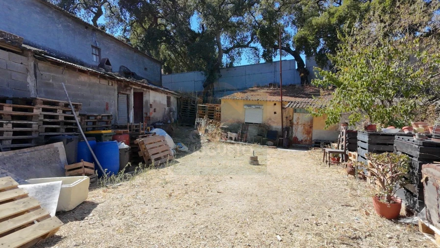Terreno para Venda em Castelo Branco Foto 41