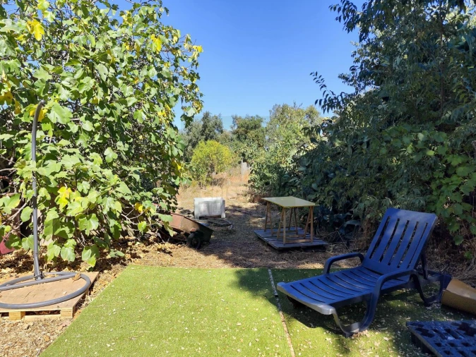 Terreno para Venda em Castelo Branco Foto 43