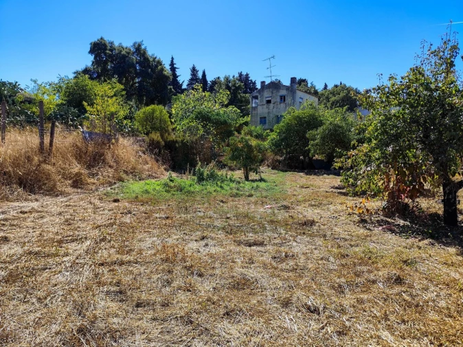 Terreno para Venda em Castelo Branco Foto 25