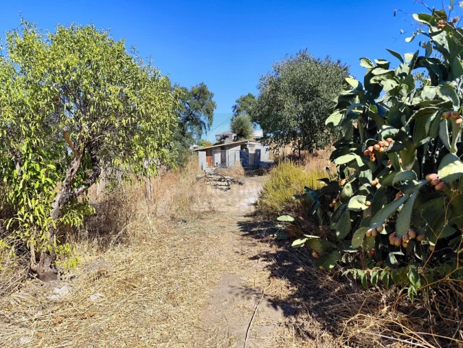 Terreno para Venda em Castelo Branco Foto 13