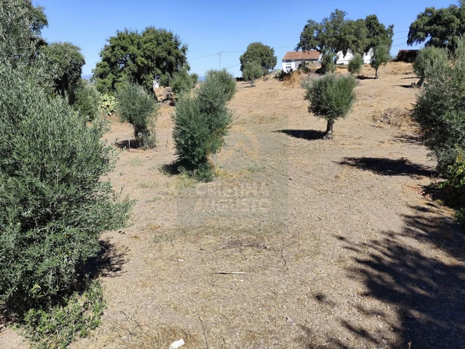 Terreno para Venda em Castelo Branco Foto 29