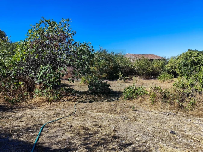 Terreno para Venda em Castelo Branco Foto 16