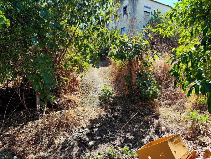 Terreno para Venda em Castelo Branco Foto 37