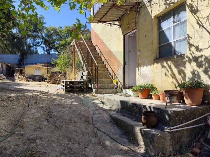 Terreno para Venda em Castelo Branco Foto 46