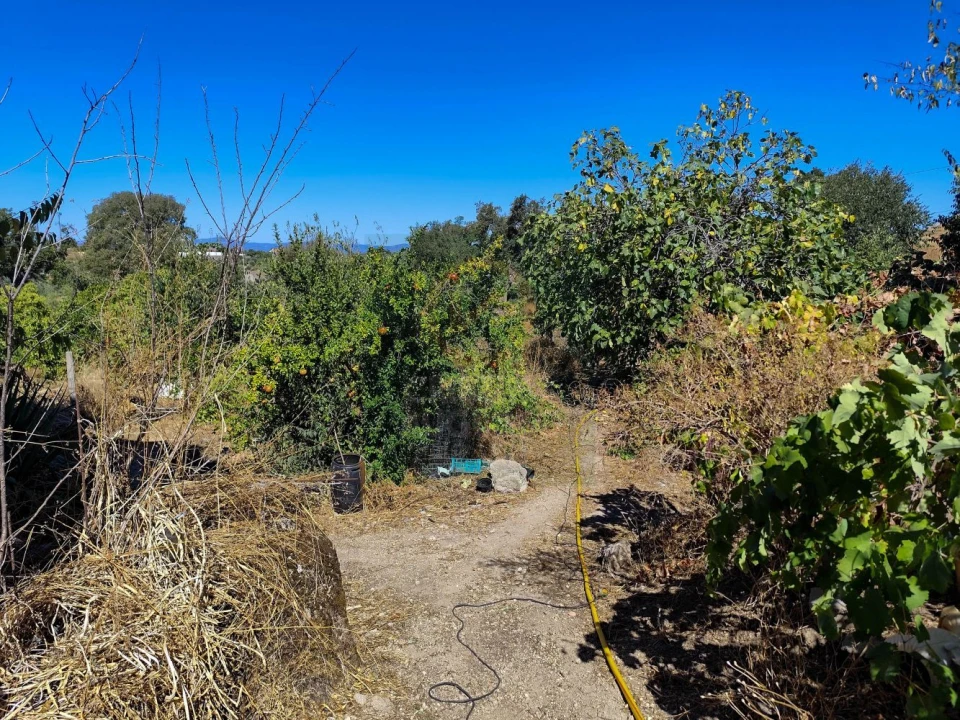 Terreno para Venda em Castelo Branco Foto 31