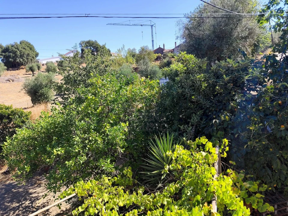 Terreno para Venda em Castelo Branco Foto 26