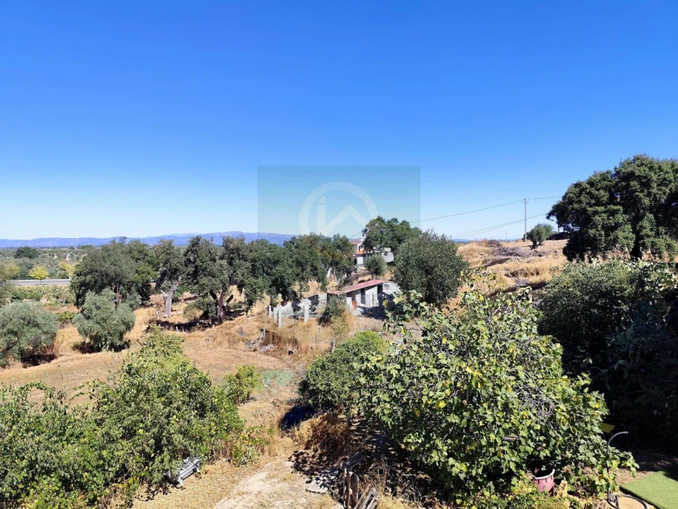 Terreno para Venda em Castelo Branco Foto 35