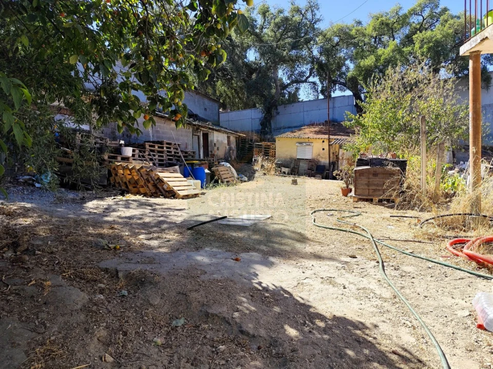 Terreno para Venda em Castelo Branco Foto 47