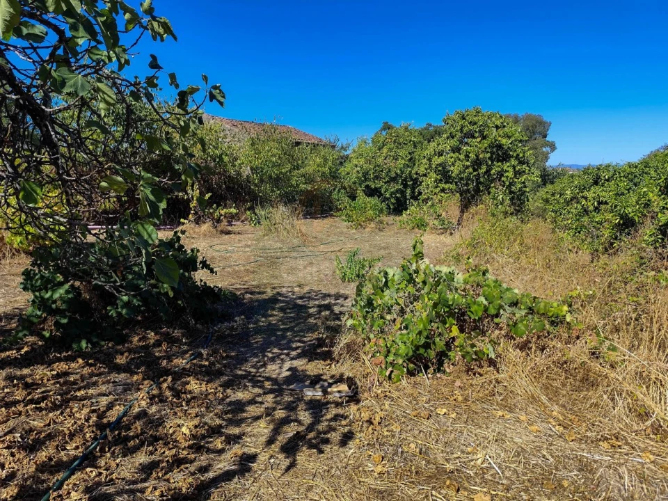 Terreno para Venda em Castelo Branco Foto 19