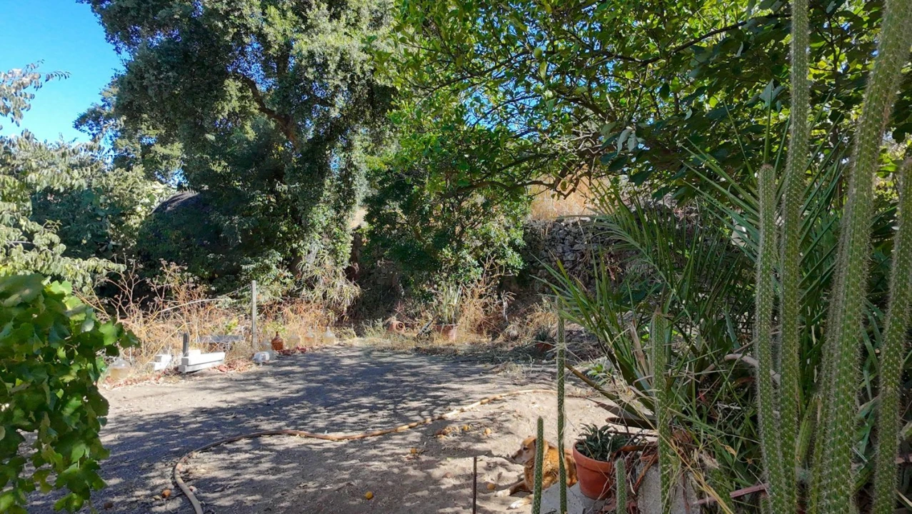 Terreno para Venda em Castelo Branco Foto 11