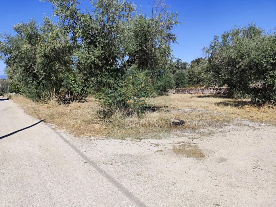 Terreno para Venda em Castelo Branco Foto 8