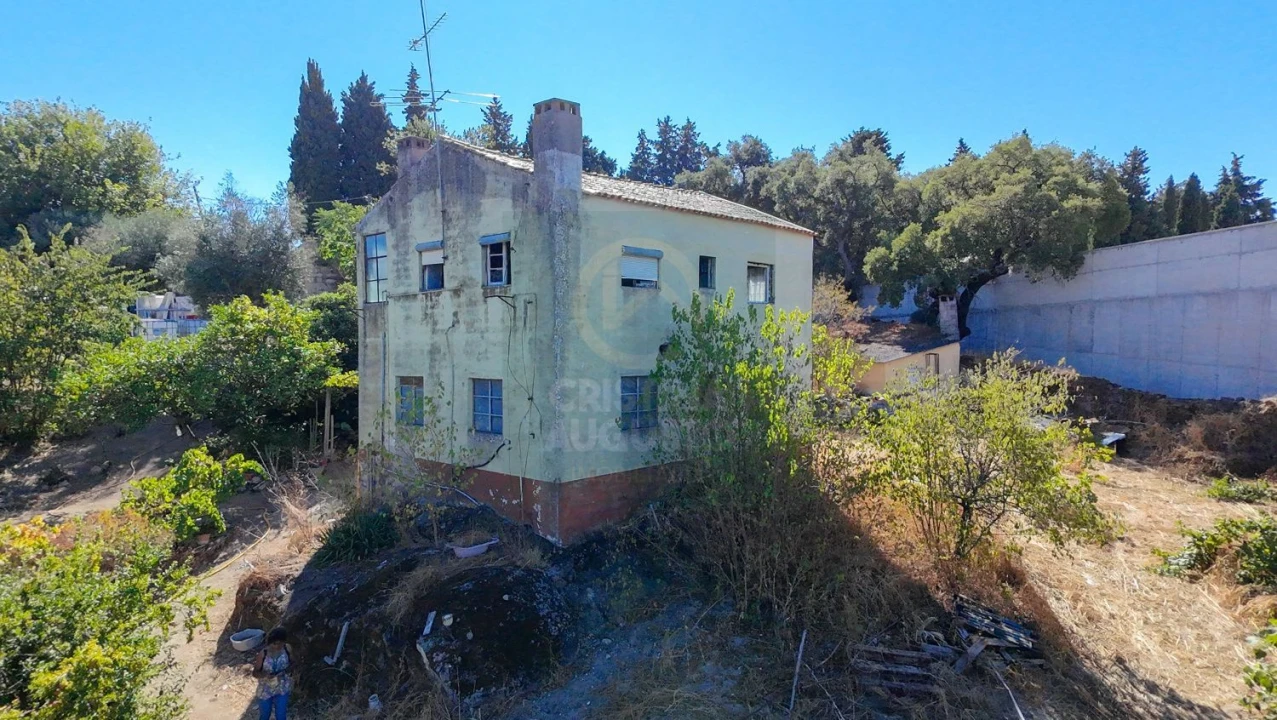 Terreno para Venda em Castelo Branco Foto 40