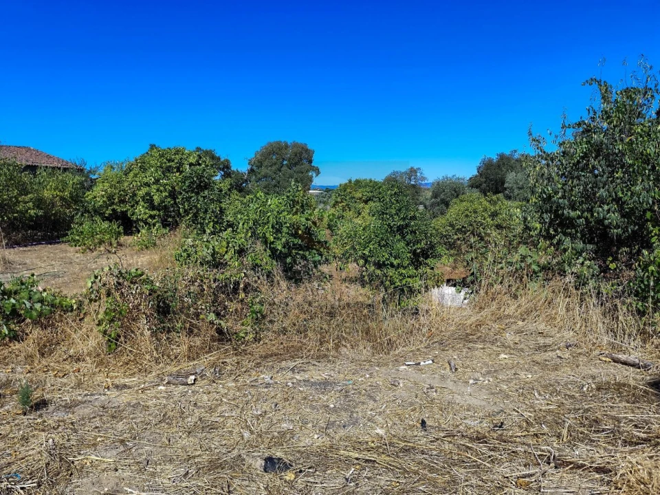 Terreno para Venda em Castelo Branco Foto 17