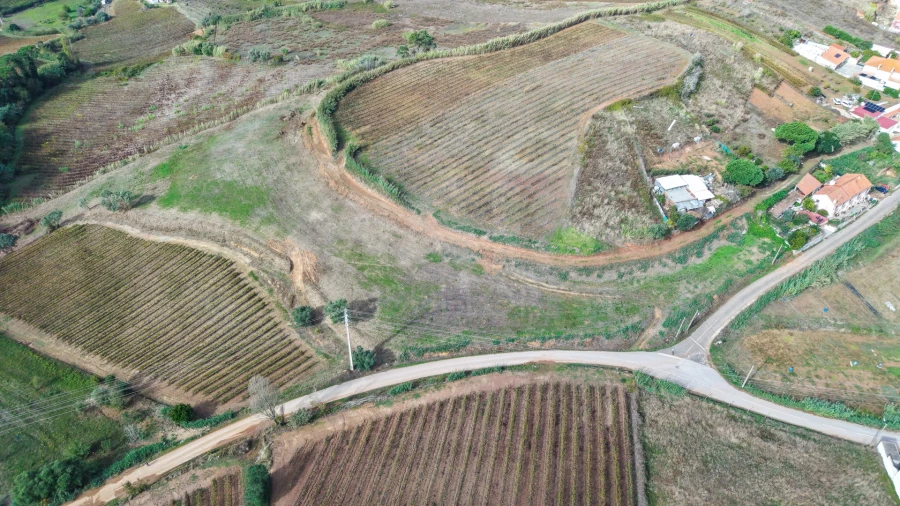 Terreno para Venda em Freiria Foto 10