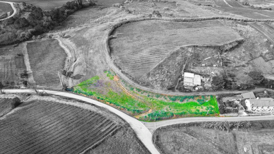 Terreno para Venda em Freiria Foto 2