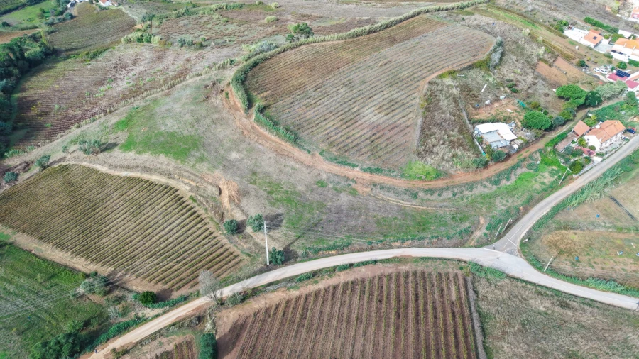 Terreno para Venda em Freiria Foto 11