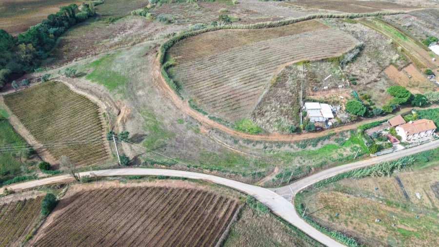 Terreno para Venda em Freiria Foto 7