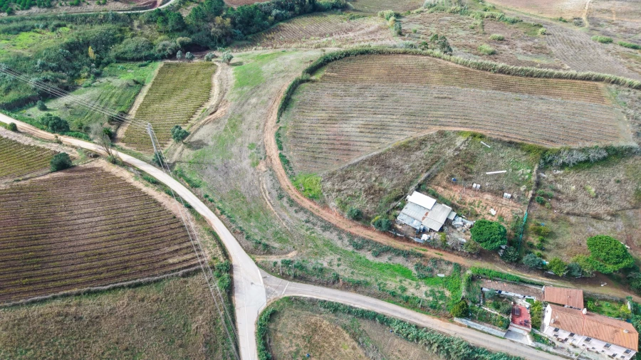 Terreno para Venda em Freiria Foto 5