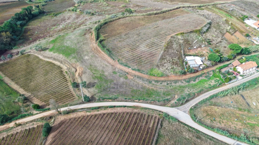 Terreno para Venda em Freiria Foto 8