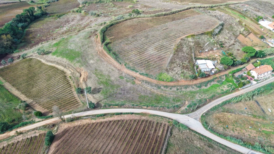 Terreno para Venda em Freiria Foto 9
