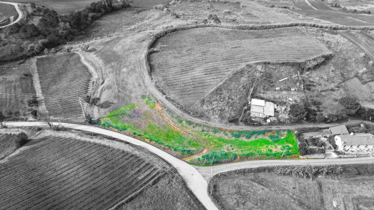 Terreno para Venda em Freiria Foto 2