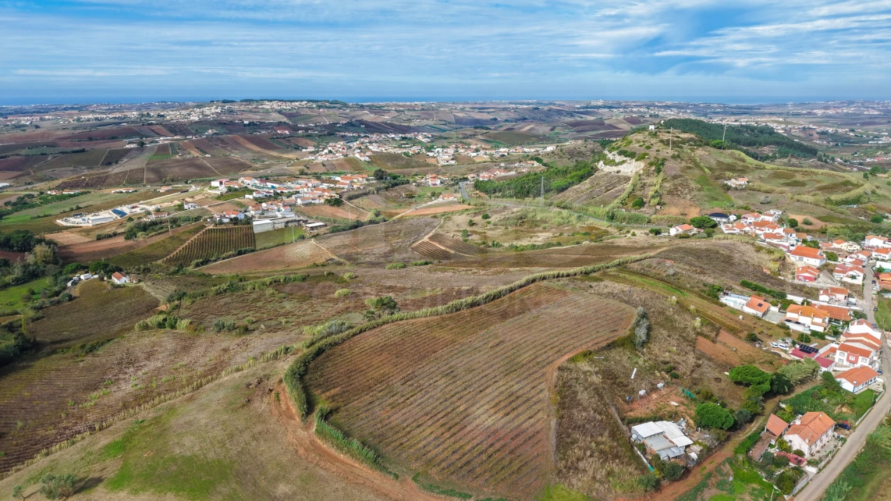 Terreno para Venda em Freiria Foto 12