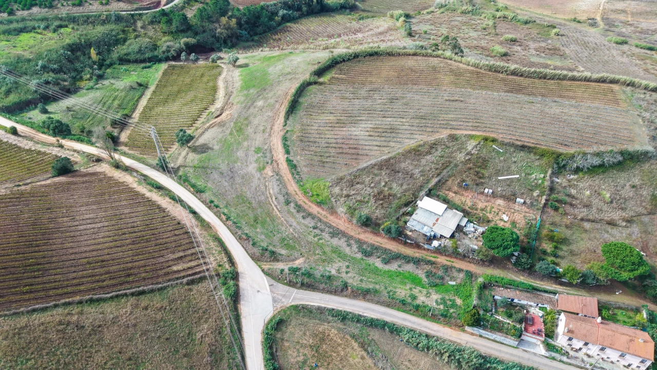 Terreno para Venda em Freiria Foto 5