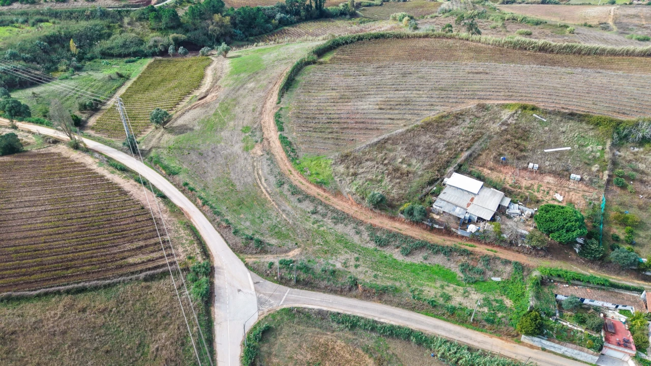 Terreno para Venda em Freiria Foto 4