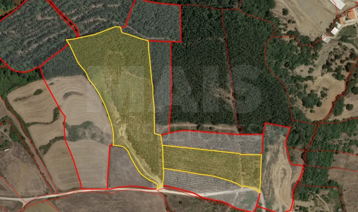 Terreno para Venda em Santo Quintino Foto 8