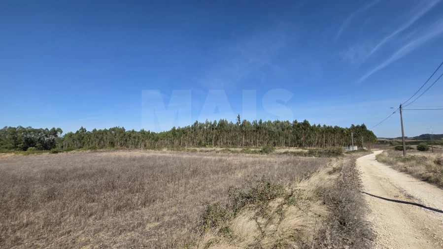 Terreno para Venda em Santo Quintino