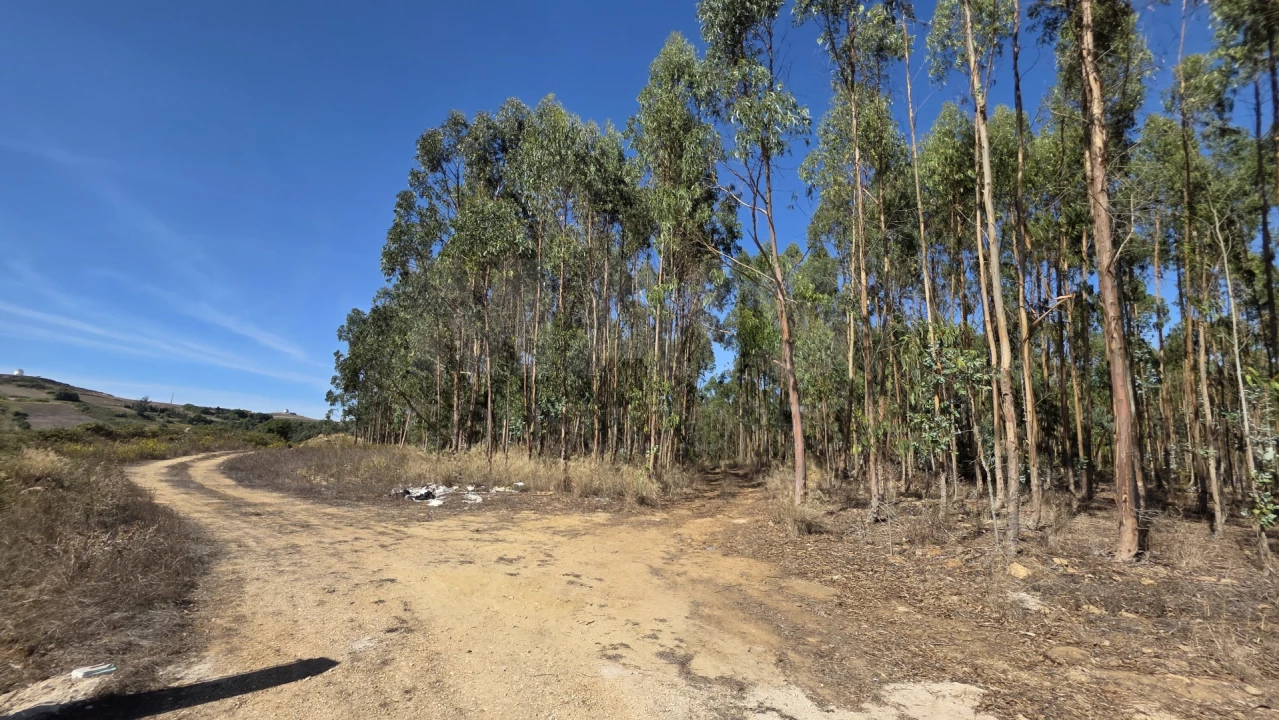 Terreno para Venda em Santo Quintino Foto 3