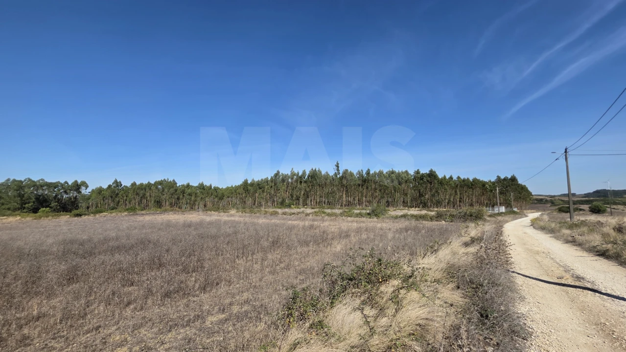 Terreno para Venda em Santo Quintino Foto 1