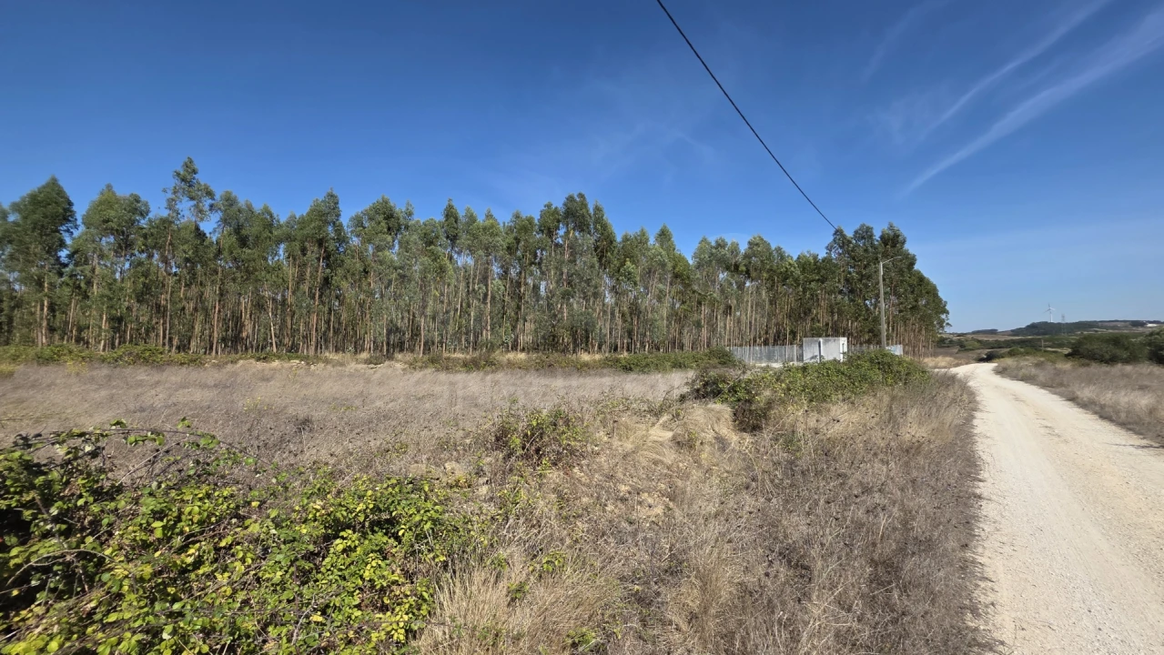 Terreno para Venda em Santo Quintino Foto 2